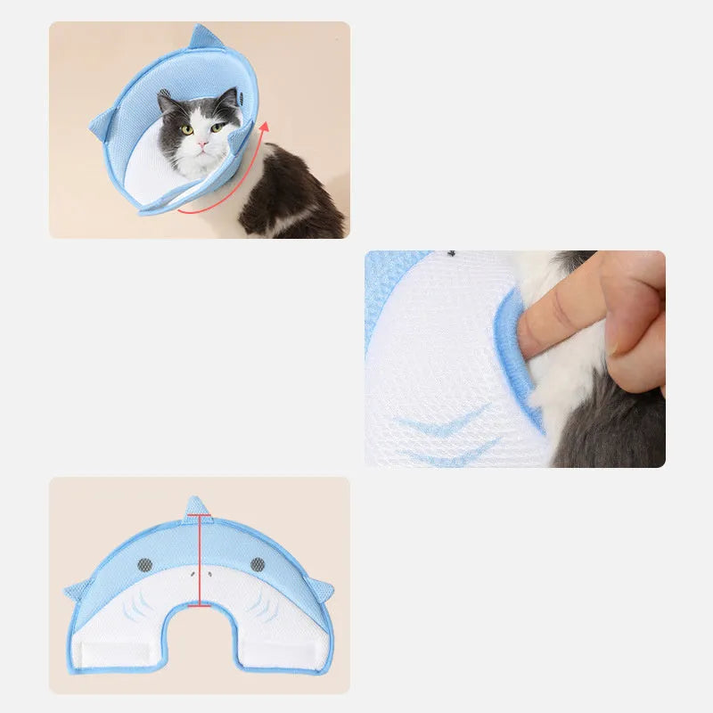 Soft cat recovery collar in shark shape made from nonwoven fabric, available in multiple sizes