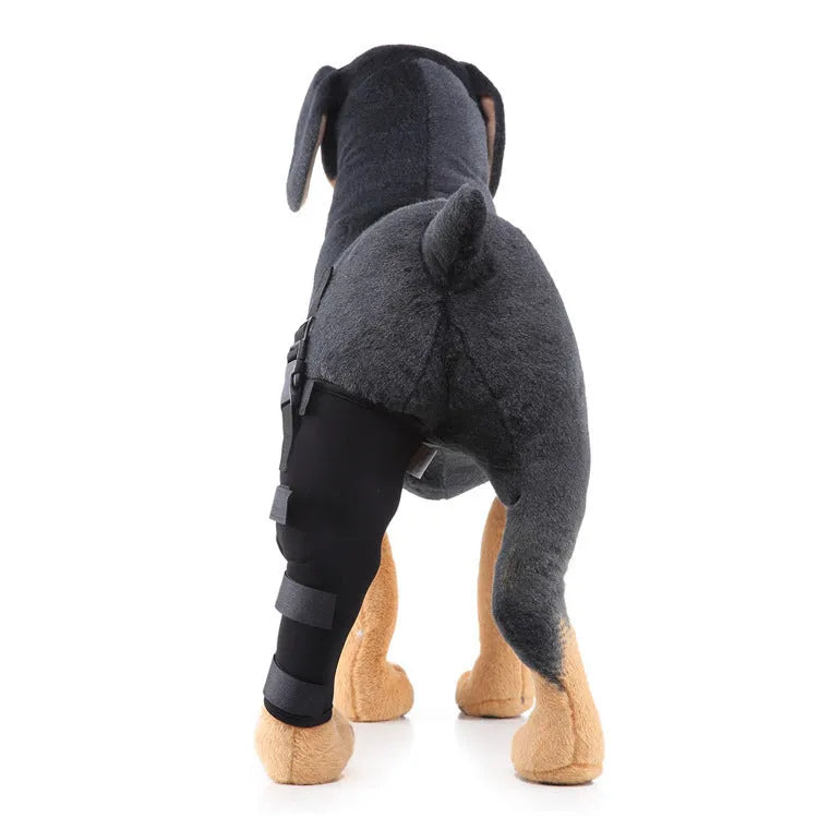 Pet leg rehabilitation foot support in black SBR material with adjustable wrap design