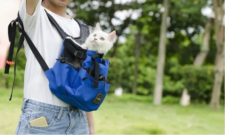 Ventilated pet travel backpack in black with mesh straps and safety buckle for cats and small dogs