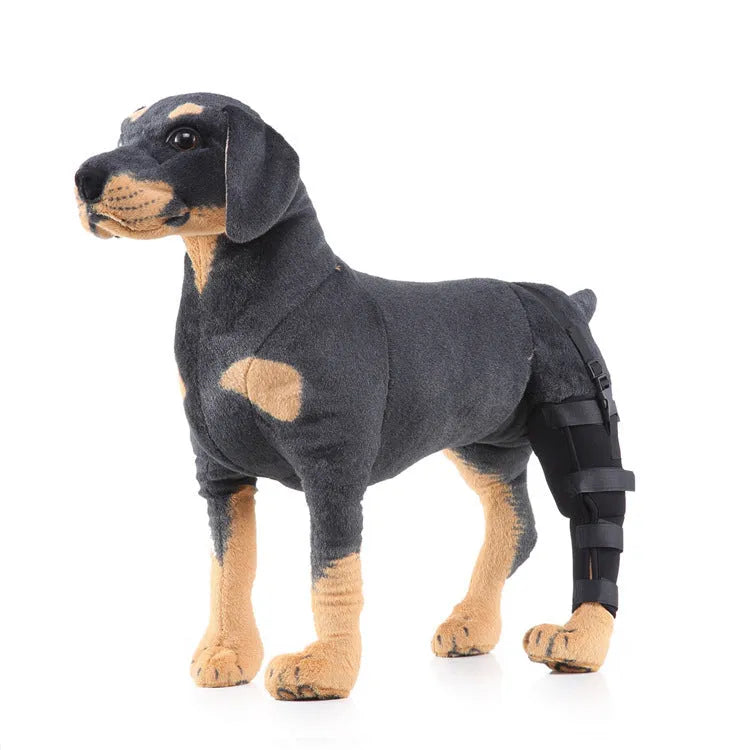 Pet leg rehabilitation foot support in black SBR material with adjustable wrap design