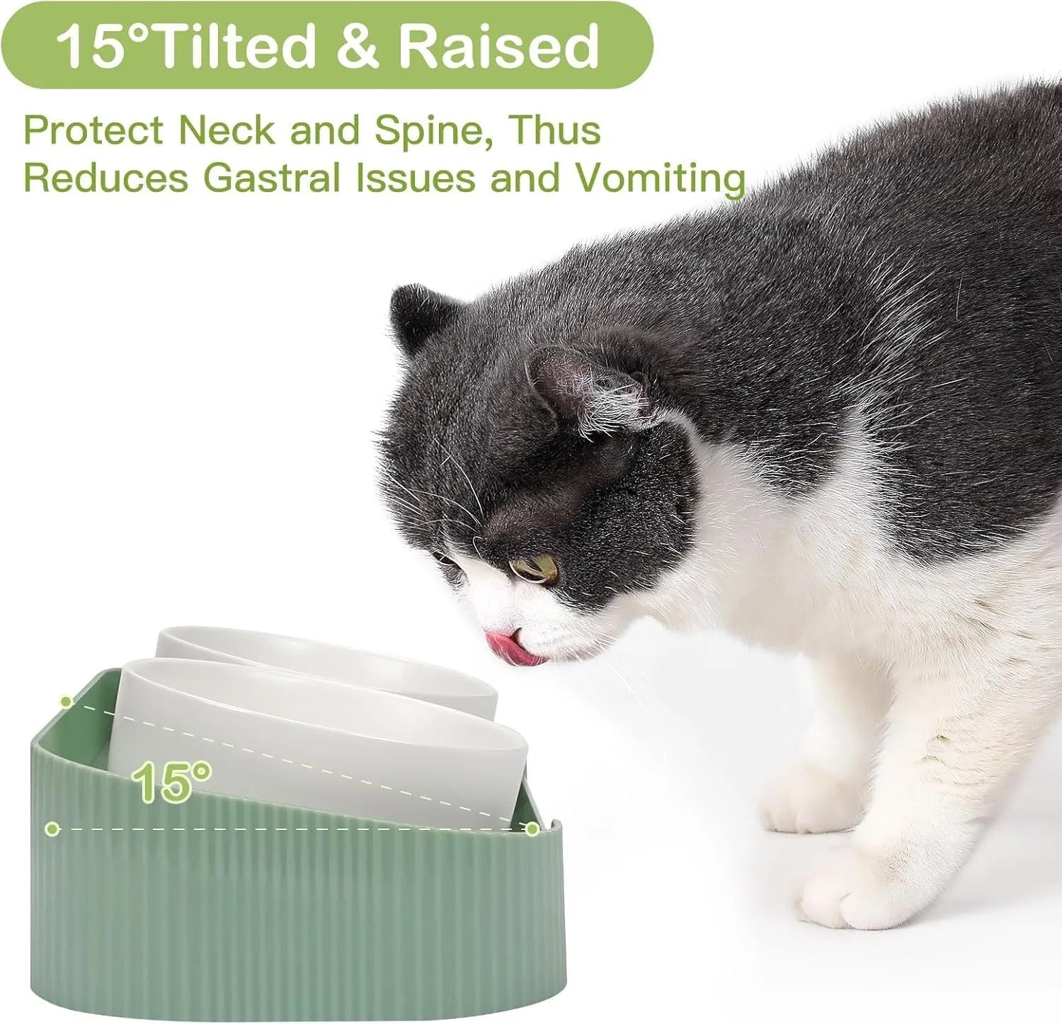 Green ceramic elevated cat bowl set with two bowls on a tilted stand for food and water.