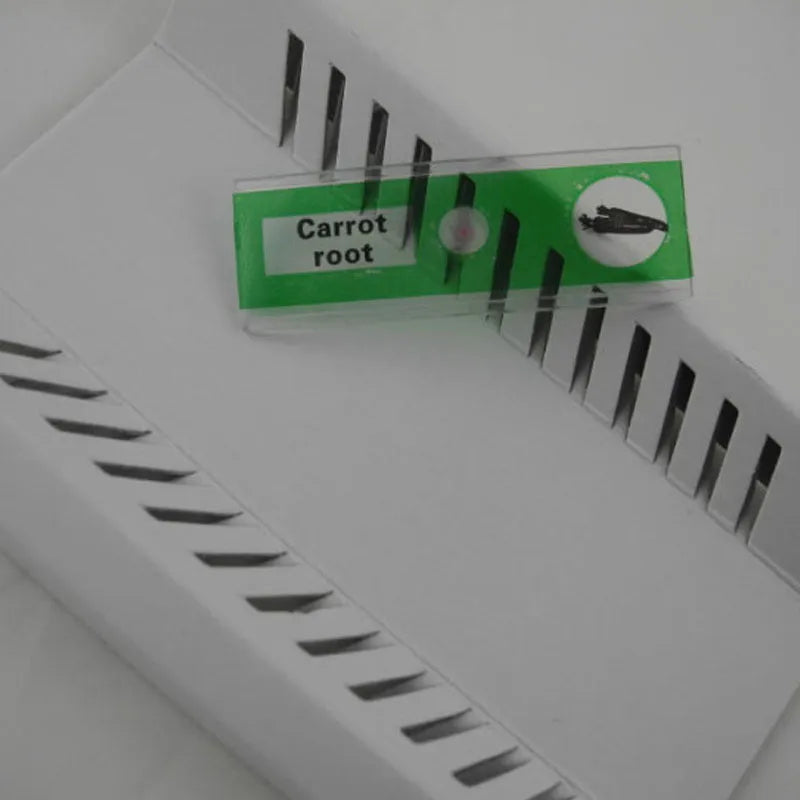 48 plastic microscope slides in four colour-coded boxes showing plant rhizomes, roots, and animal specimens