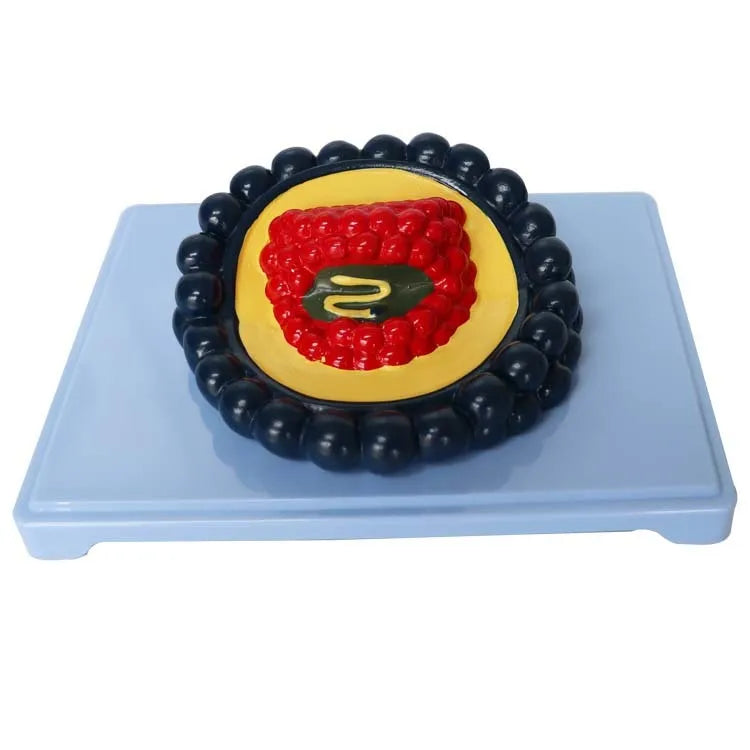 Black PVC virus biological model measuring 20 by 15 by 7 cm on a white background