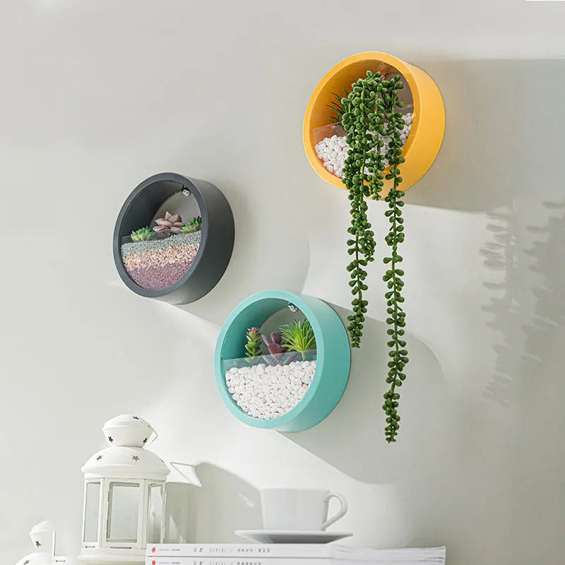 Round iron wall vase in black hanging on a wall with a succulent plant inside