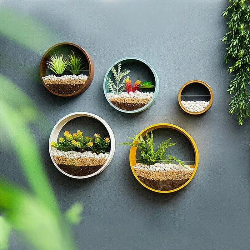 Round iron wall vase in black hanging on a wall with a succulent plant inside