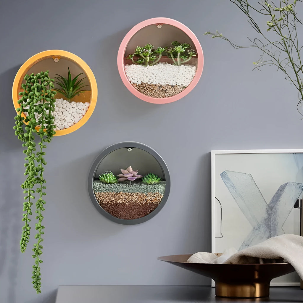 Round iron wall vase in black hanging on a wall with a succulent plant inside