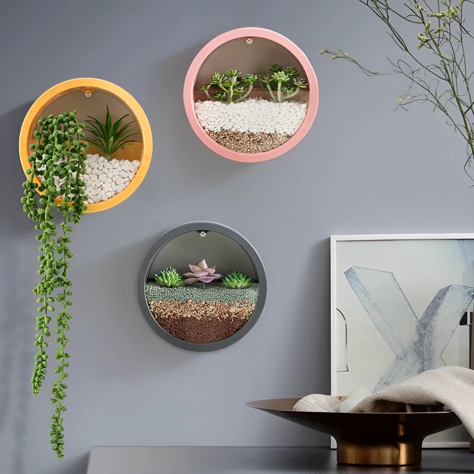Round iron wall vase in black hanging on a wall with a succulent plant inside