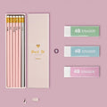 Box of 10 mixed colour HB pencils including purple glitter and pale pink pencils with poplar wood barrels