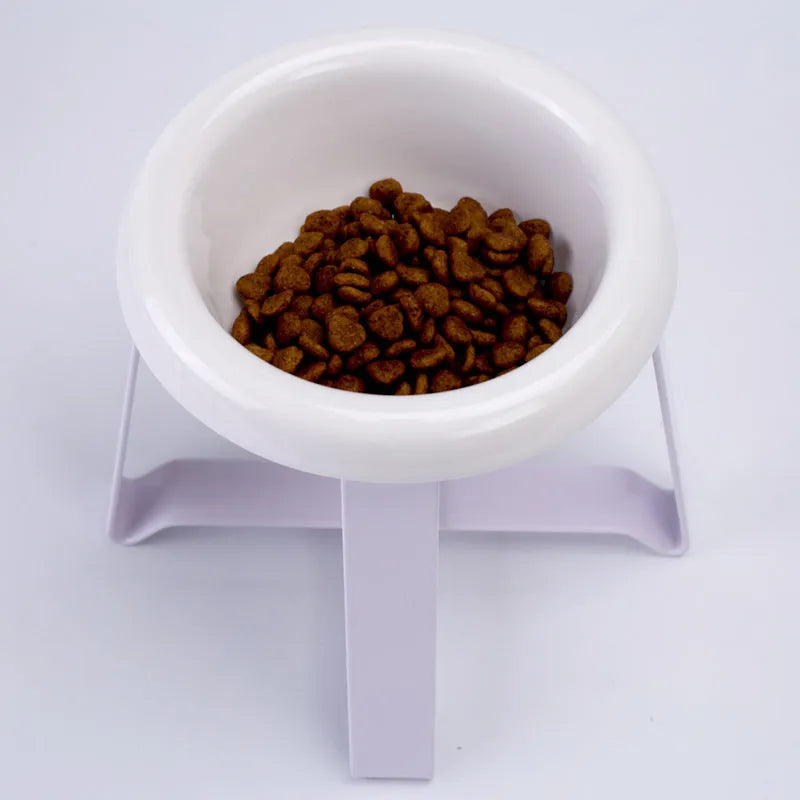Elevated ceramic cat feeding bowl with gold iron stand and stainless steel surface in pink colour