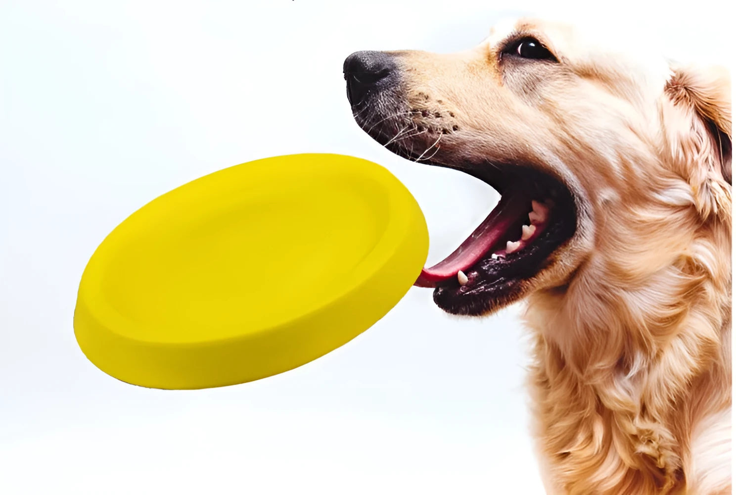 Yellow EVA material dog throwing toy for training and bonding activities