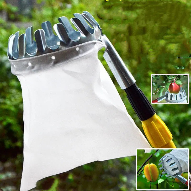 Steel frame fruit picker with cloth catching bag for harvesting citrus, pears, and peaches