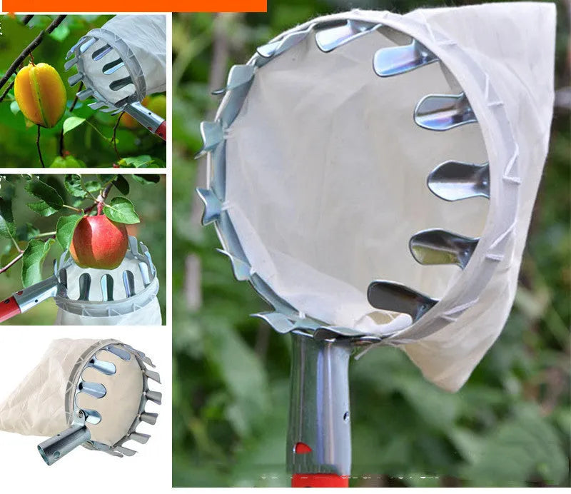 Steel frame fruit picker with cloth catching bag for harvesting citrus, pears, and peaches
