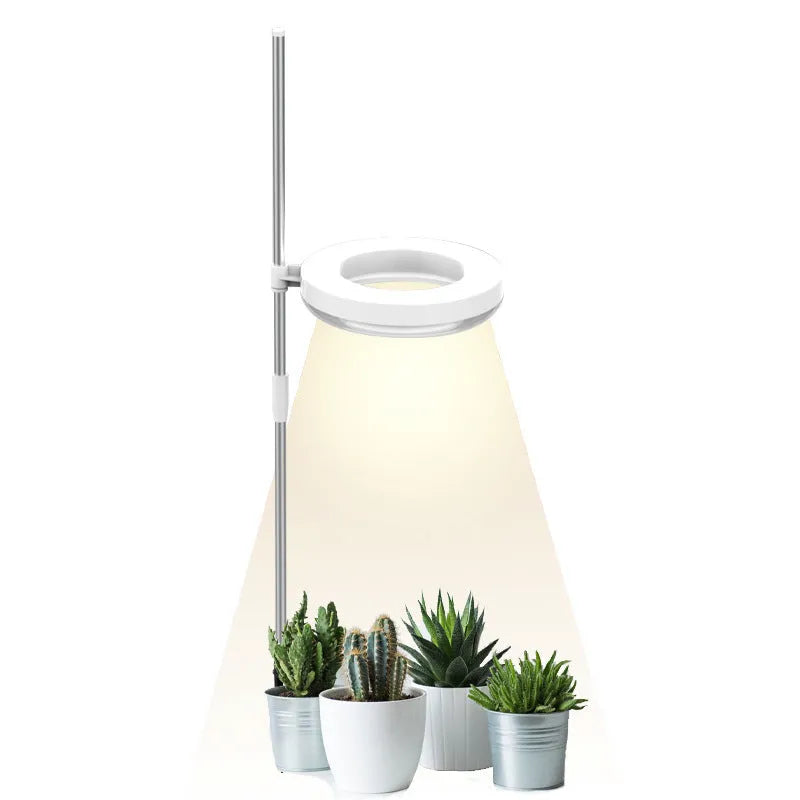 Compact full spectrum plant growth lamp with a polycarbonate shell on a desk.