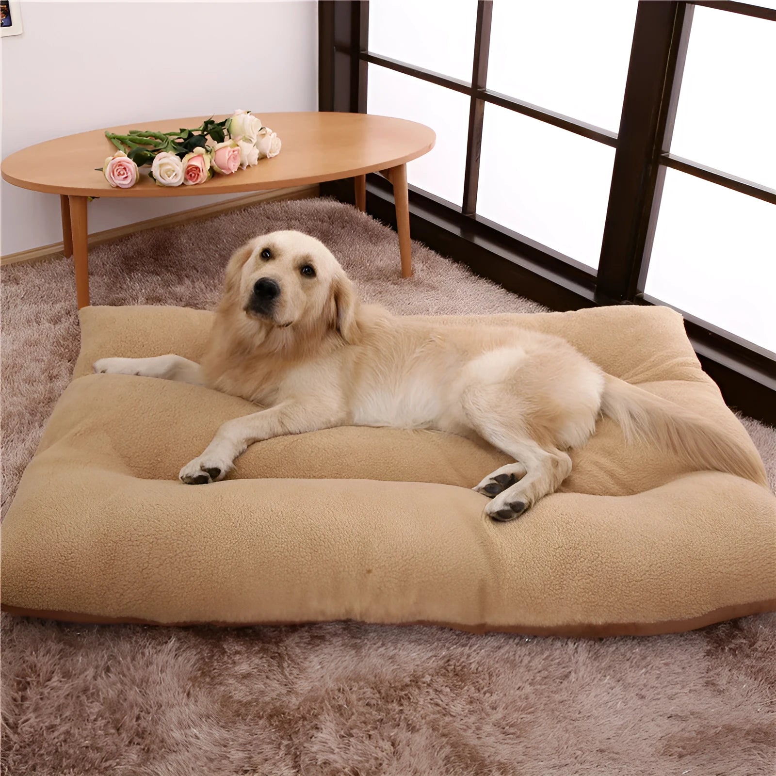Large dog pet bed in beige with removable washable pad, thick PP cotton filling, 120cm size
