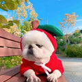 Cute fruit pattern drawstring fleece dog hoodie for small breeds French Bulldog and Chihuahua