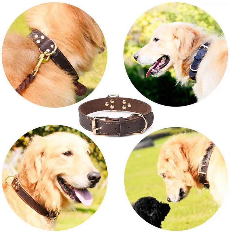Genuine cowhide dog collar in black available in sizes S, M, L for medium and large dogs