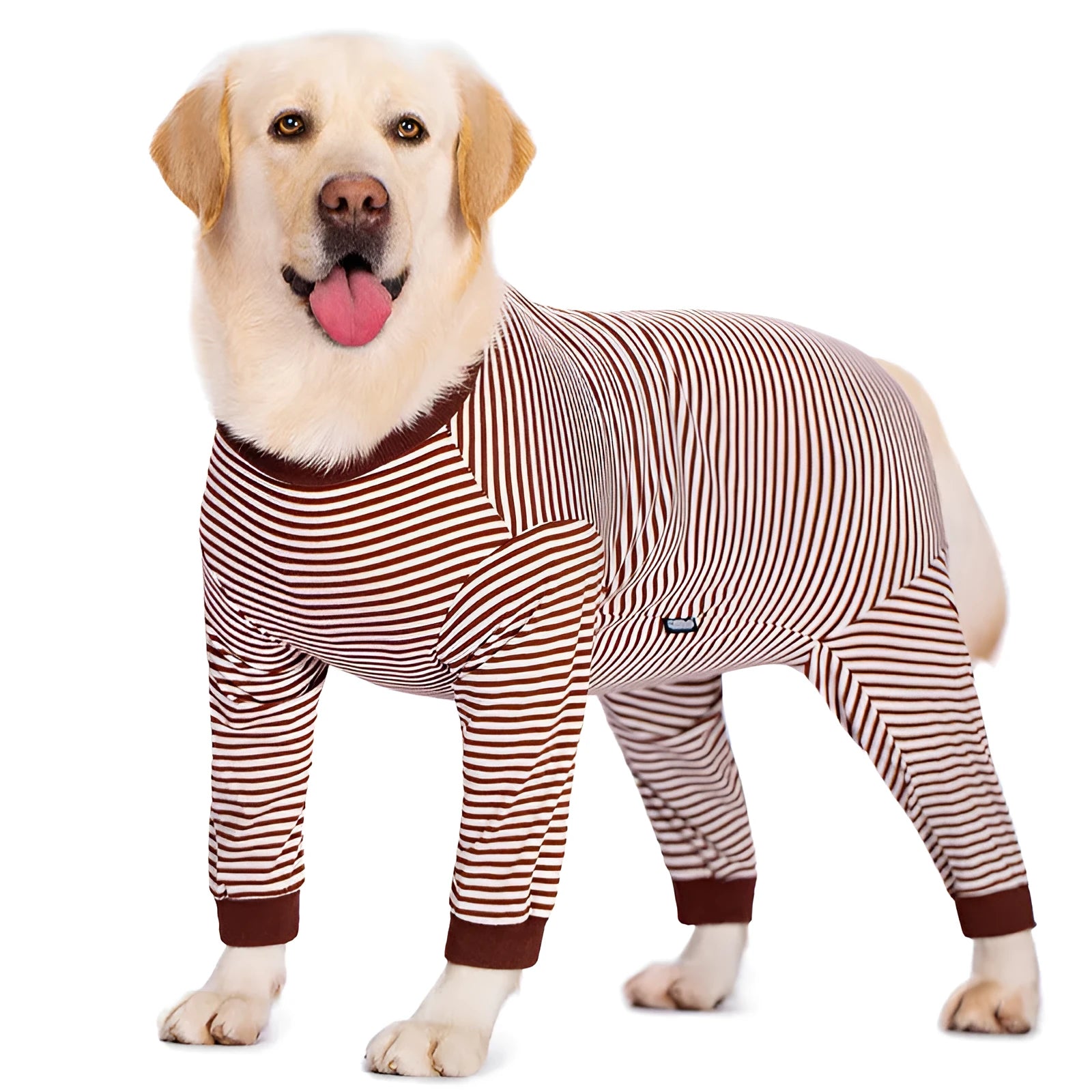 Four-legged striped dog shirt for Golden Retrievers and Labradors in polyester fabric