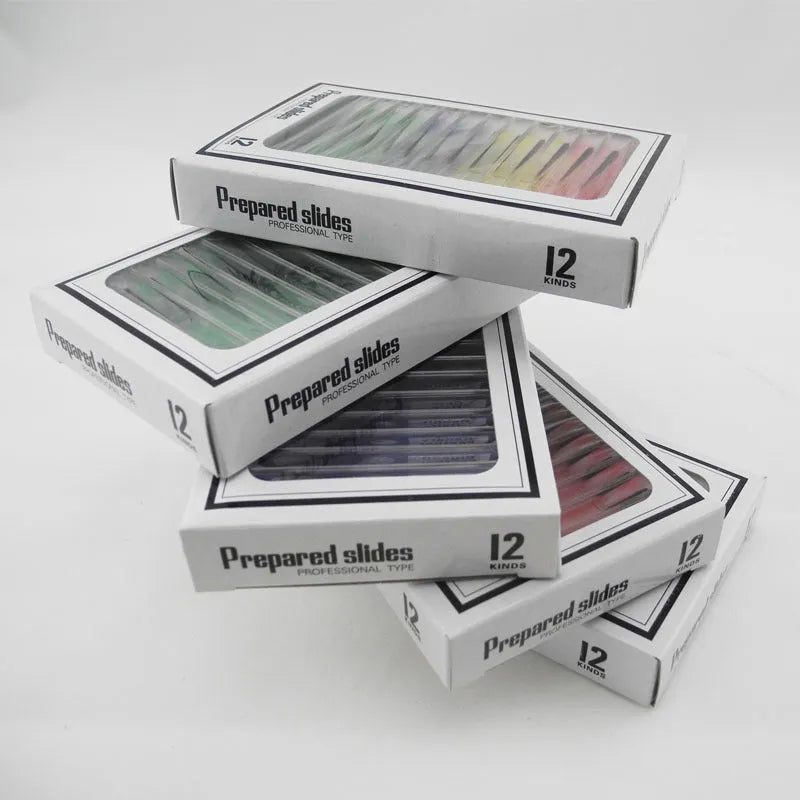 48 plastic microscope slides in four colour-coded boxes showing plant rhizomes, roots, and animal specimens