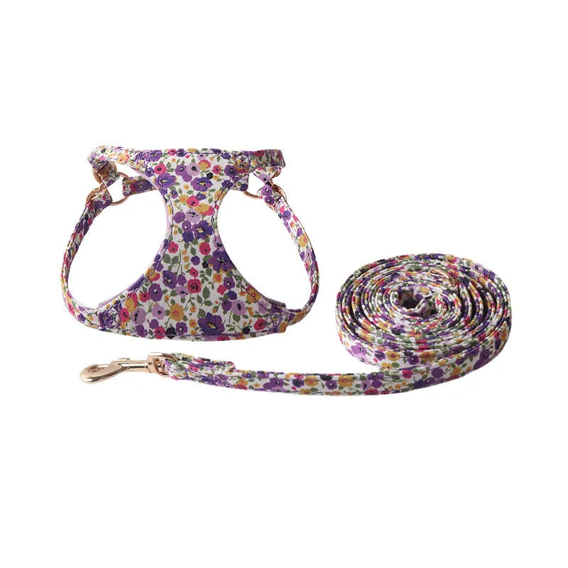 Cloth pet harness suit with leash in orange for small dogs and cats on white background