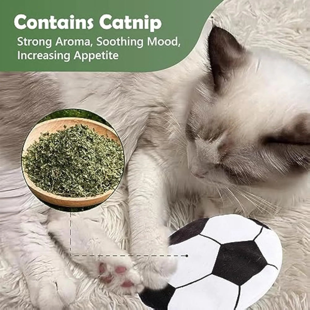 Small, flat, plush flying disc cat toy with a sport ball pattern, containing catnip and a crinkle sound element.