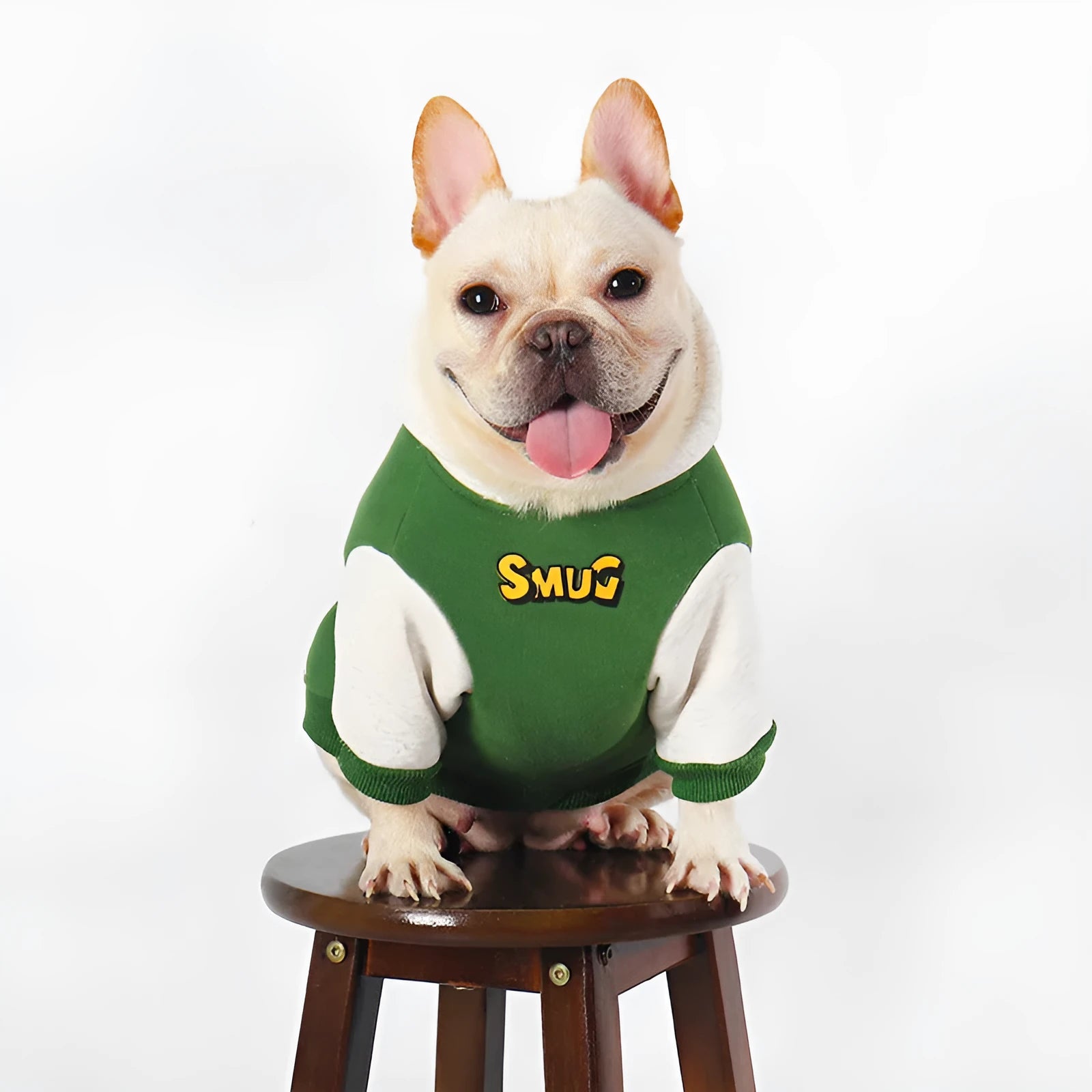 Green cotton dog jacket for autumn and winter wear, sized for large breeds.