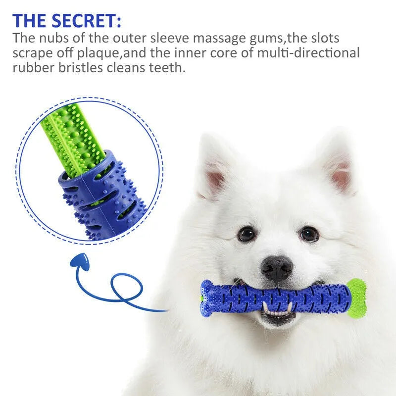 Blue silicone dog chew toy toothbrush with treat dispenser on white background