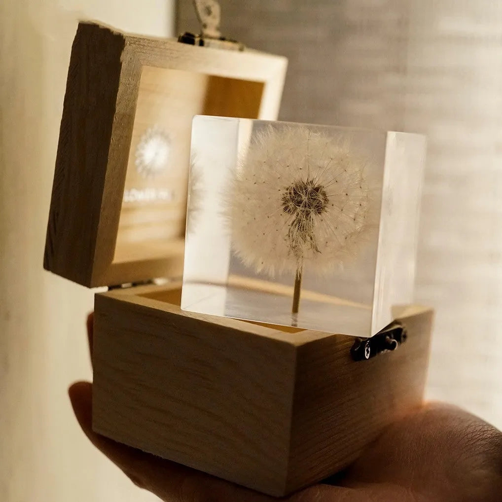 Dandelion specimen inside a 5cm clear resin cube with wooden box and USB charging base