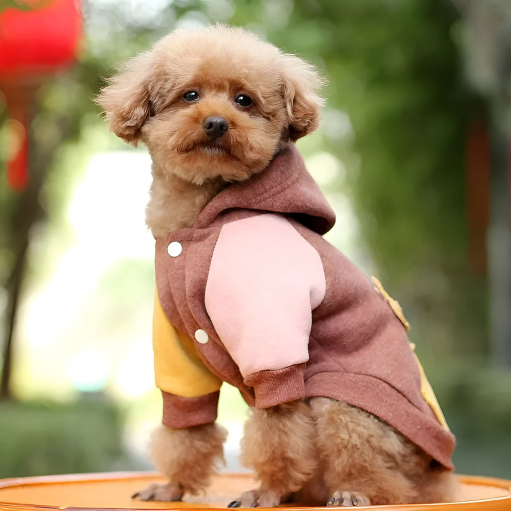 Brown cotton pet sweatshirt for dogs or cats shown in size M.