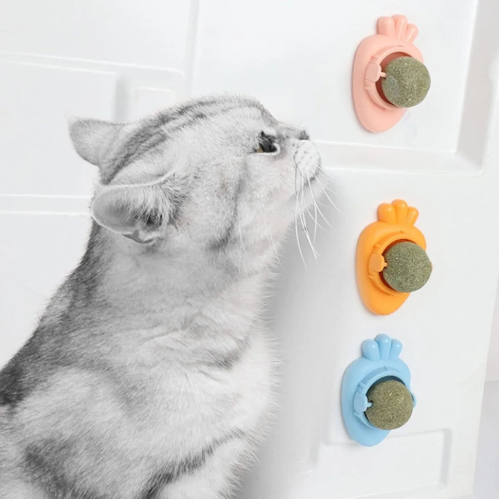Blue carrot-shaped catnip ball with self-adhesive backing for wall-mounted feline dental care