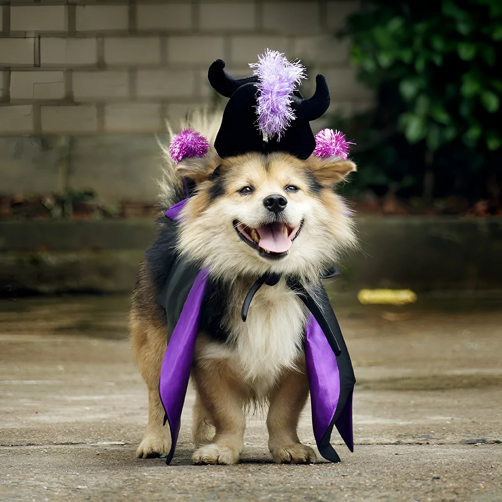 Halloween pet demon cloak and horn hat costume in polyester bat cape style for cats and dogs