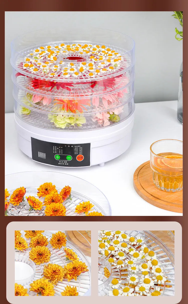Five-layer household food dehydrator with UK plug for drying fruits and vegetables