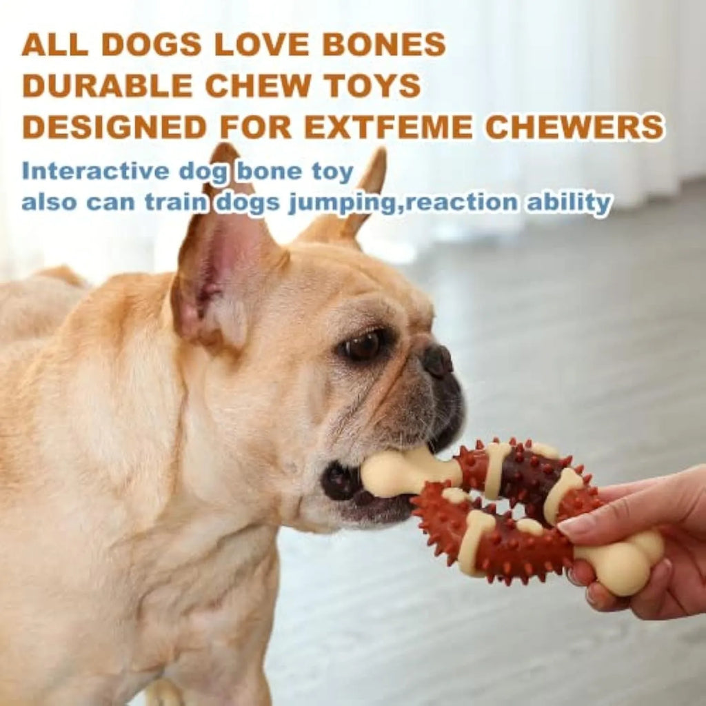 Bone-shaped natural rubber dog molar chew toy for teeth grinding