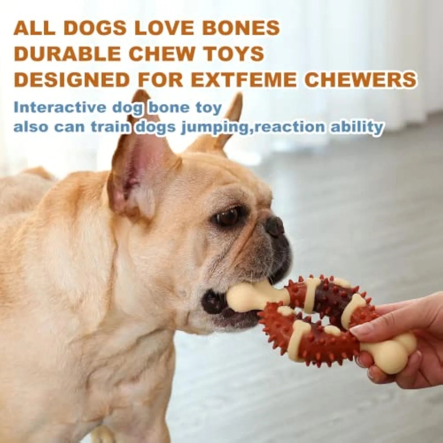 Bone-shaped natural rubber dog molar chew toy for teeth grinding
