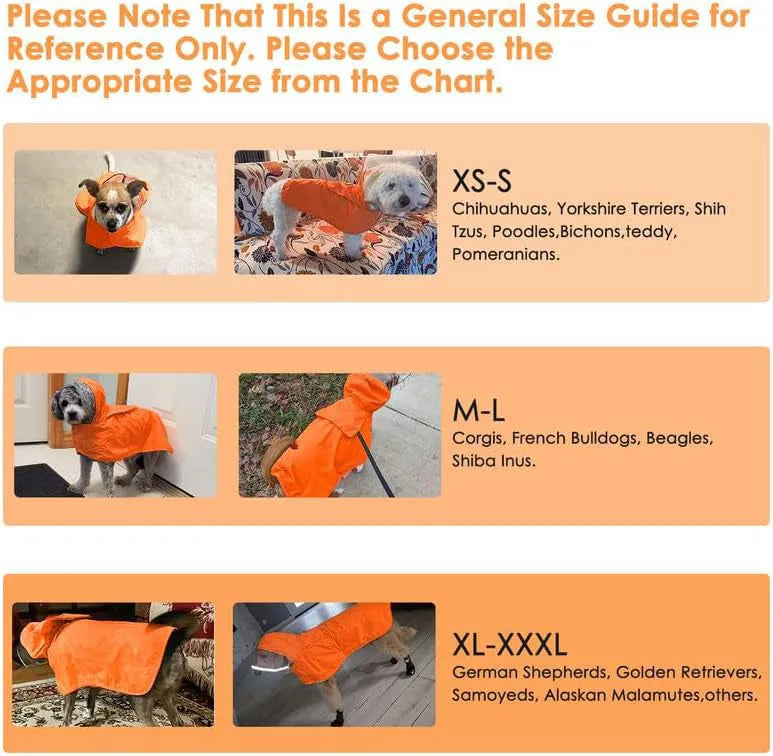 Dog raincoat in orange with transparent hood, waterproof breathable fabric, belly coverage, on a small dog