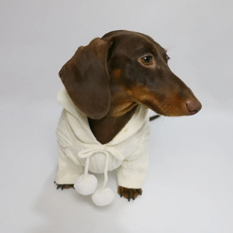 Pet hooded sweater for dogs, two-leg design, blended fabric, sky blue and beige colours, sizes XS to XL
