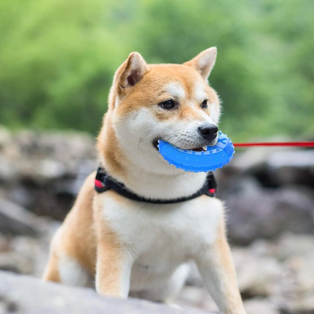 Freezable bone and circle shaped dog teething chew toy for cooling and dental care