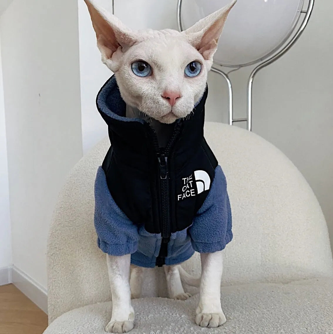 Hairless cat wearing a coral fleece jumpsuit in army green, side view on neutral background