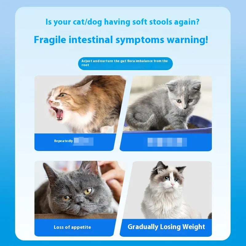 Bottle of pet probiotic tablets containing 180 tablets for animal digestive health support