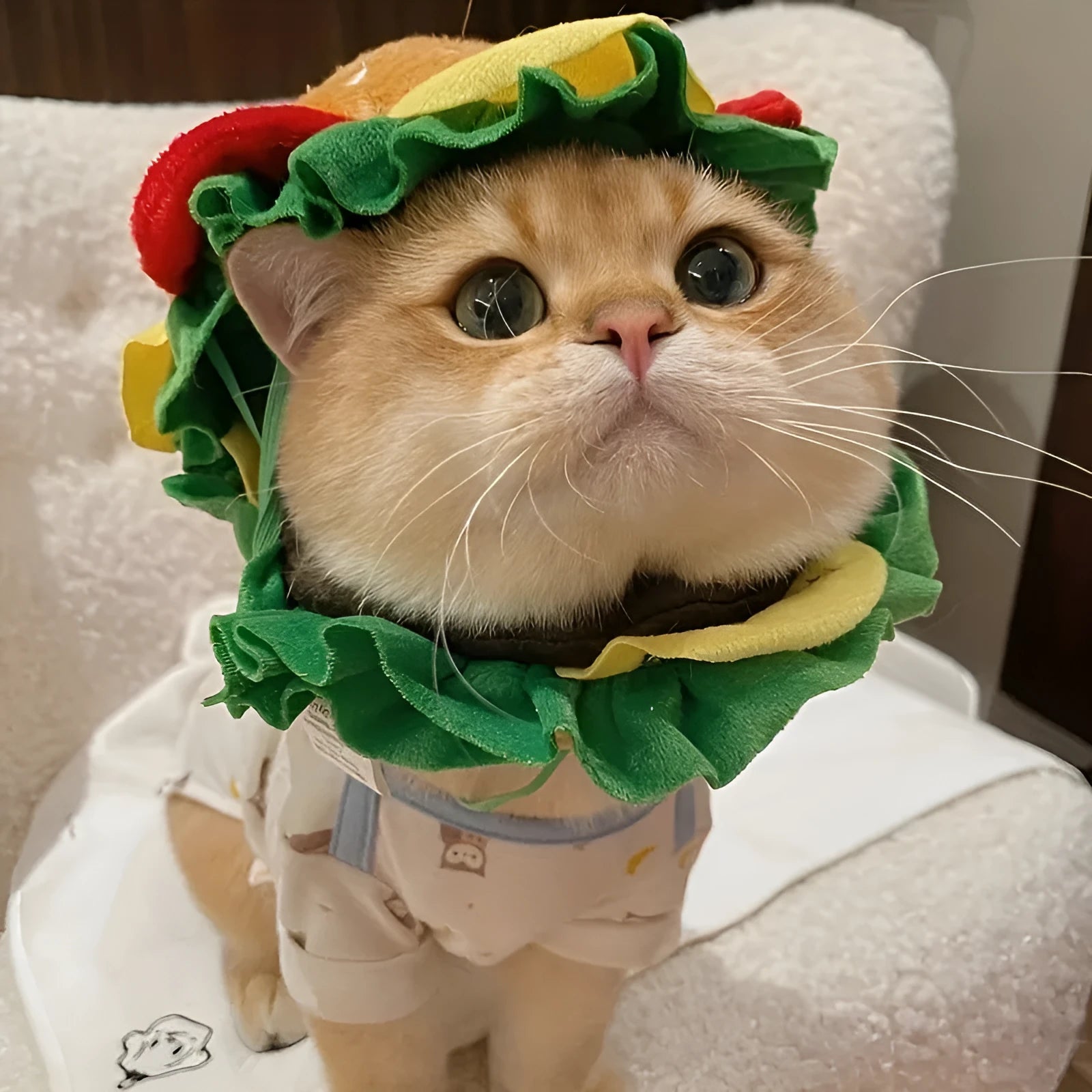 Cat wearing burger headdress collar with lettuce details and elastic chin strap