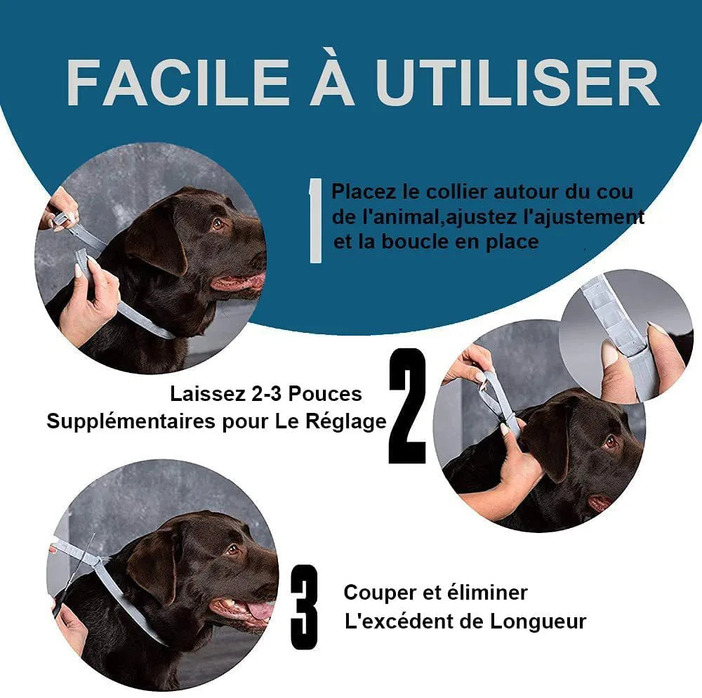 Rainbow plastic flea prevention collar for pets in cat and dog sizing options