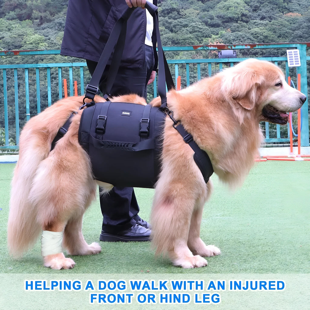Black Oxford cloth dog harness with leg support straps shown on a dog model.