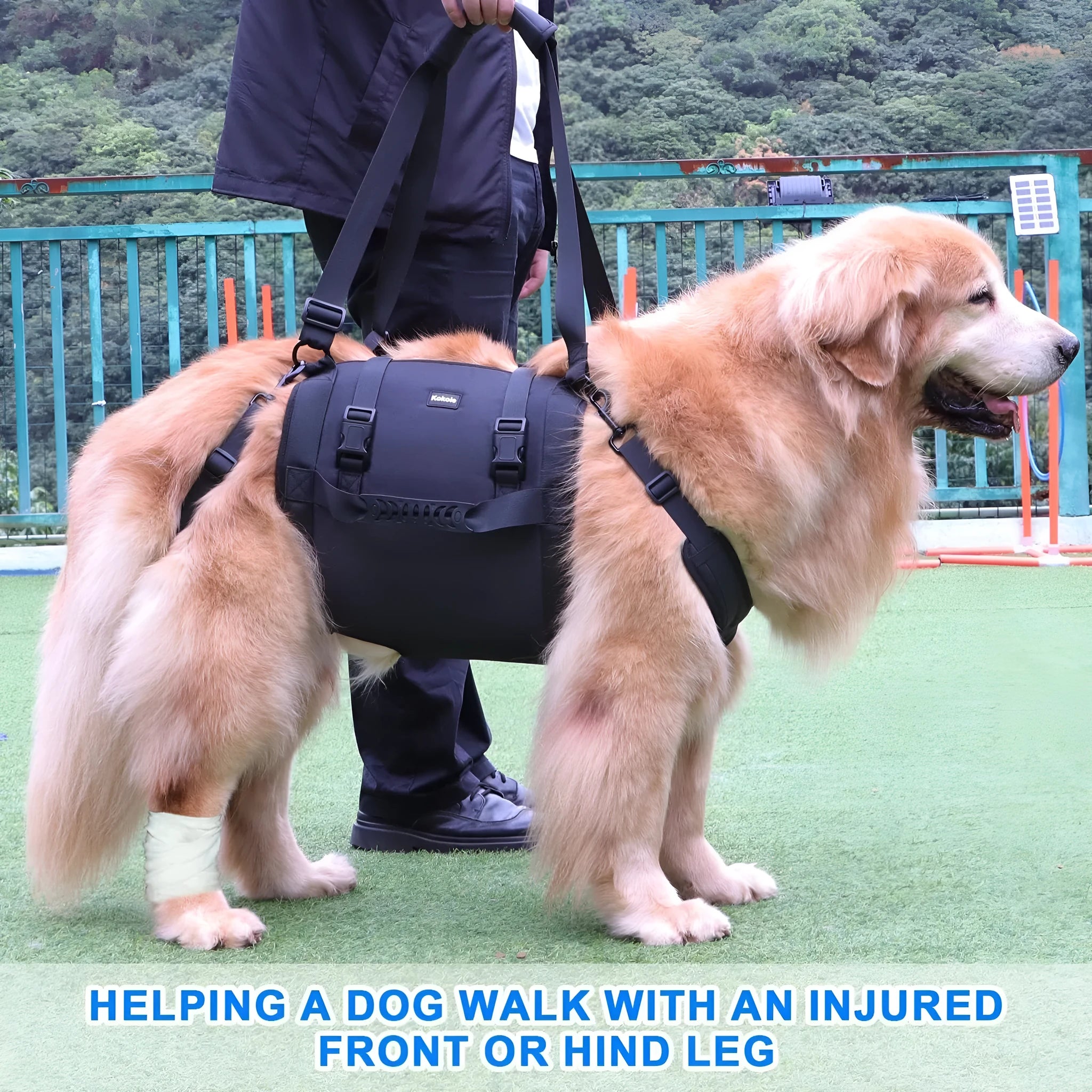 Black Oxford cloth dog harness with leg support straps shown on a dog model.