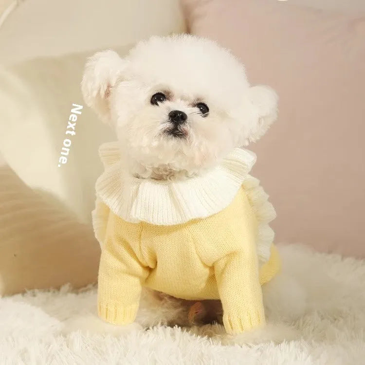 Autumn pet puppy sweater in acrylic knit, Fairy Dress style, on small dog