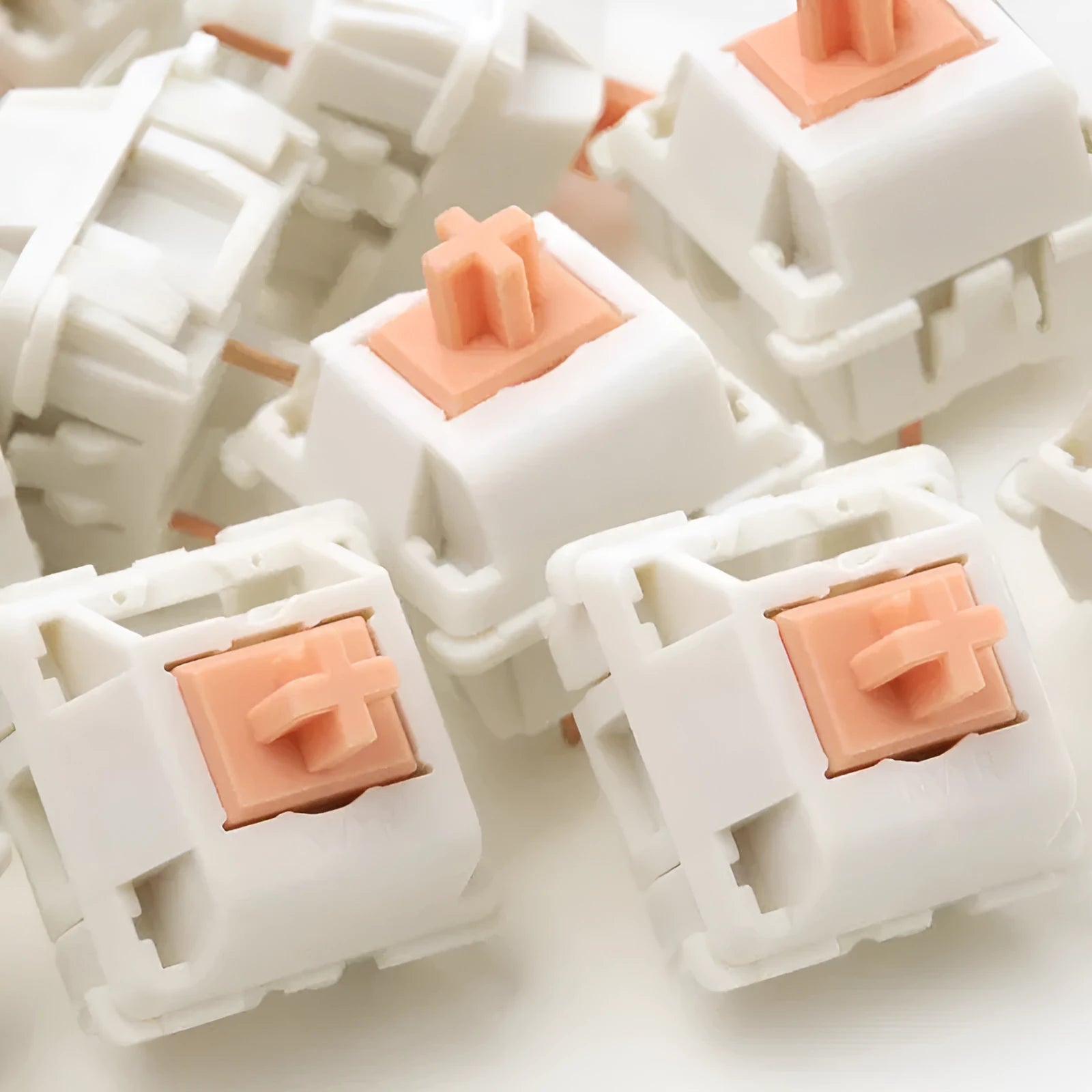 A single clear Panda mechanical keyboard switch for DIY keyboards, shown in a plastic case.