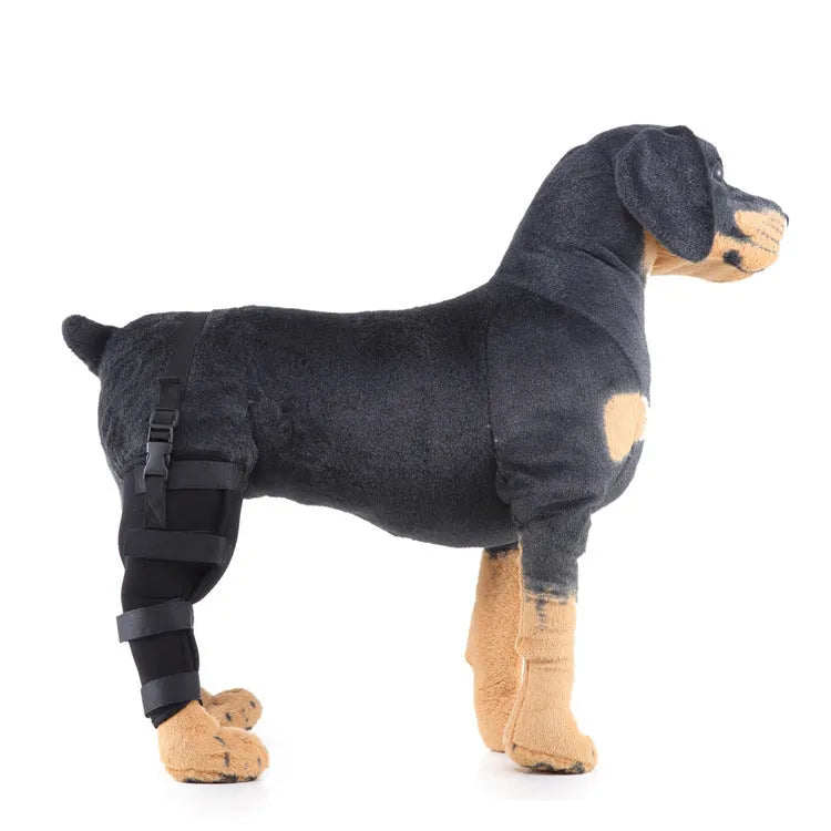 Pet leg rehabilitation foot support in black SBR material with adjustable wrap design