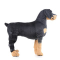 Pet leg rehabilitation foot support in black SBR material with adjustable wrap design