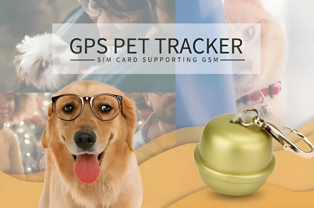 GPS tracking unit attached to a dog collar, shown in available colours: black, brown, green, and pink.