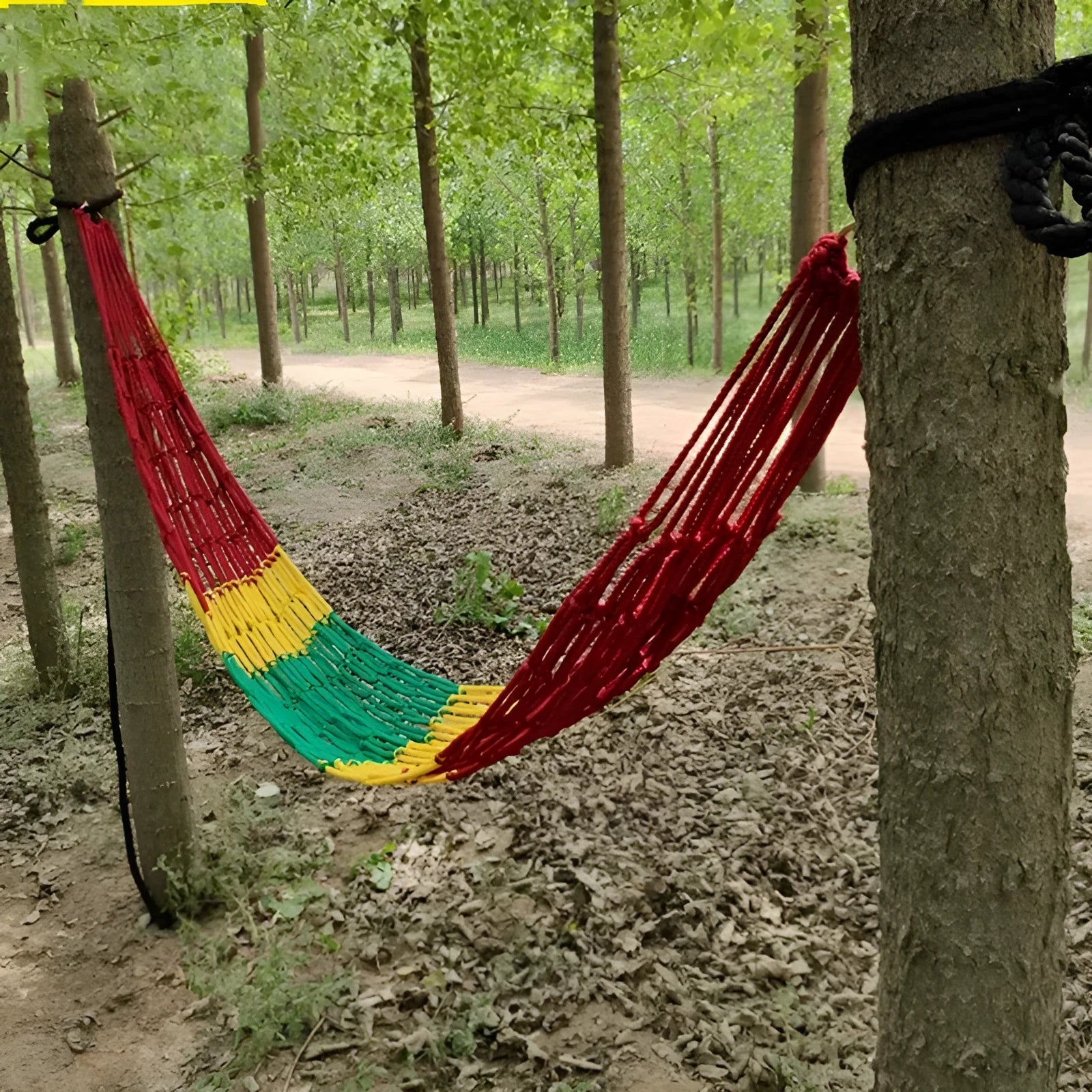 Nylon rope mesh hammock hung between two trees in a garden setting.