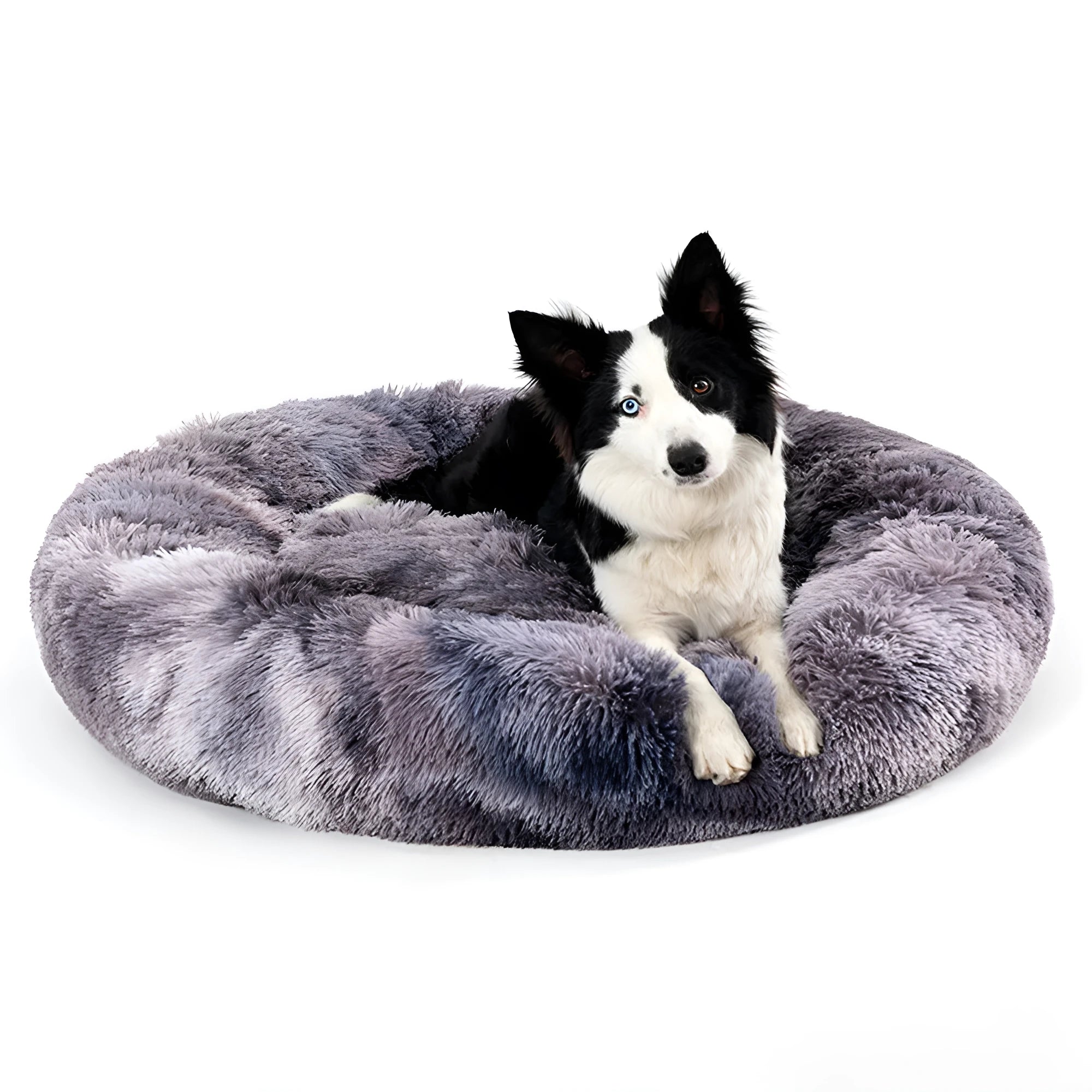Fluffy donut-shaped dog bed with raised edges in luxury long plush fabric