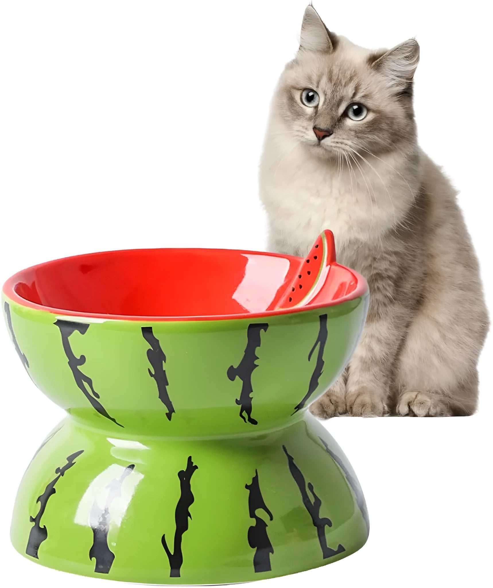 Ceramic raised cat bowl with tilted design in orange, pitaya, or watermelon pattern